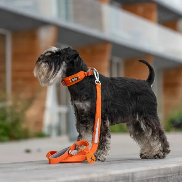 DOG Copenhagen Urban Trail Leash talutushihna, Hunting Green