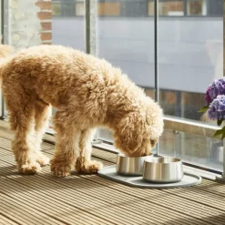 DOG Copenhagen Vega Bowl koirankuppi, S/M, Steel