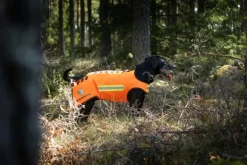 Dogtech One Generation 2 koirien suojaliivi, keltainen