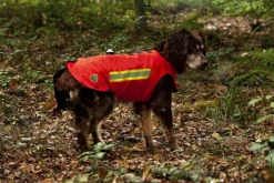 Dogtech ONE Modular Vest Red