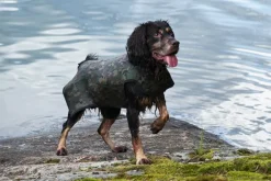 Dogtech Retriever neopreeniliivi, Camo