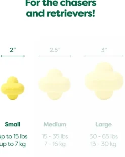 Earth Rated Fetch Toy koiranlelu, Small