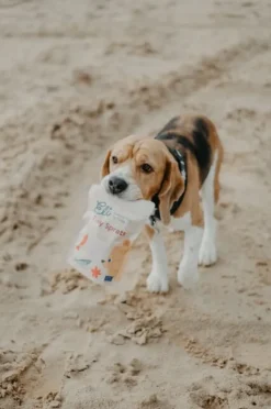 Eli koirien kuivattu kalaherkku, kilohaili