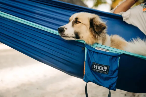 Eno DoubleNest Bluesign kahden hengen riippumatto, oliivi/oranssi