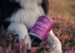 ESSENTIAL FOODS Highland Living Pâté 6 x 400 g