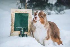 ESSENTIAL FOODS Superior Living Pâté 6 x 400 g