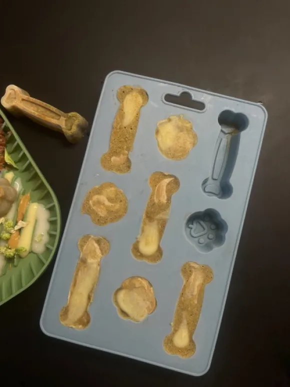 Fiboo Iceboo jäätelömuotti, sininen