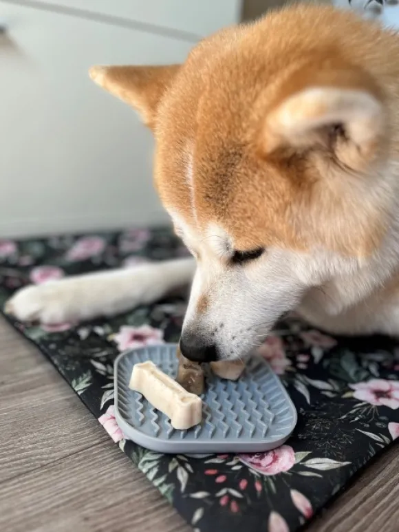 Fiboo Iceboo jäätelömuotti, vihreä