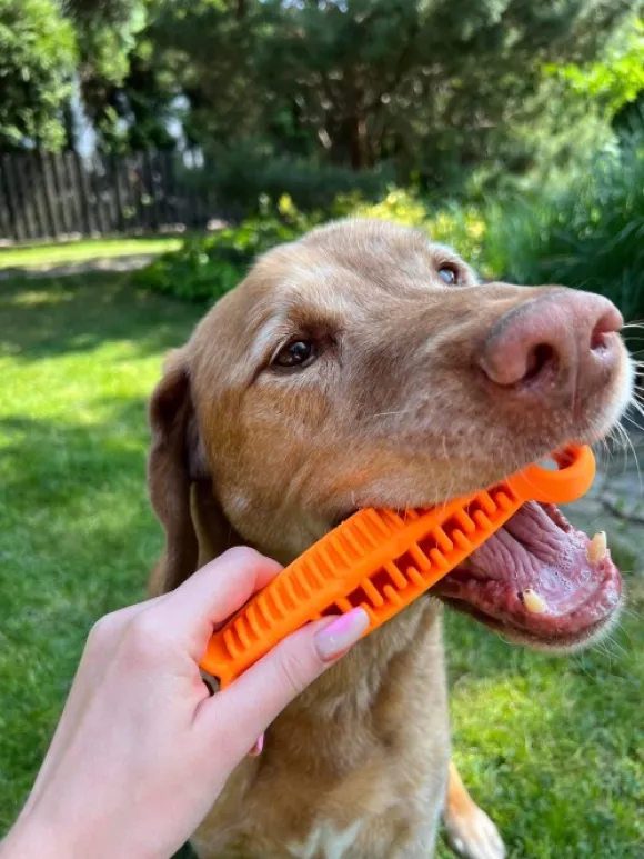 Fiboo kelluva aktivointilelu, 19 cm, oranssi