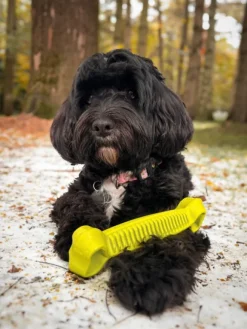 Fiboo kelluva aktivointilelu, 19 cm, keltainen