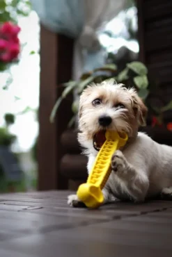 Fiboo kelluva aktivointilelu, 19 cm, keltainen