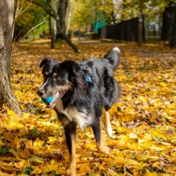 Fiboo kelluva aktivointipallo, sininen