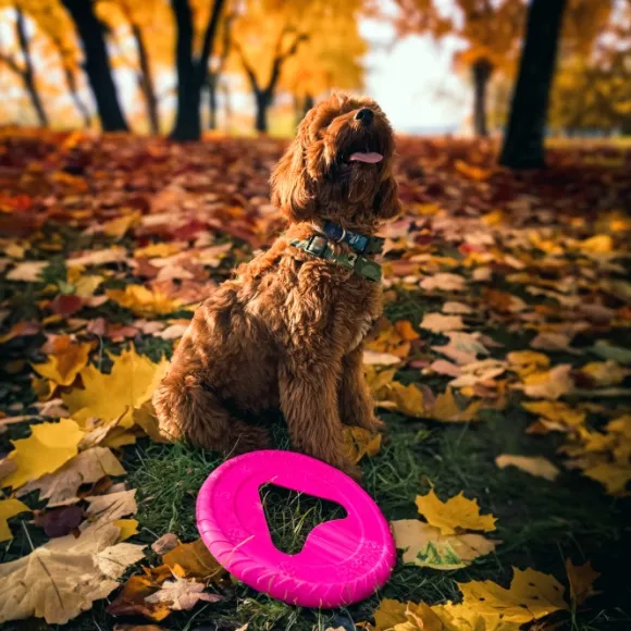Fiboo kelluva frisbee, 25 cm, roosa