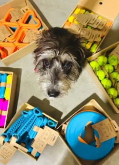 Fiboo kelluva frisbee, 25 cm, roosa