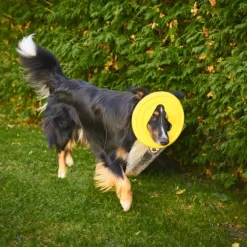 Fiboo kelluva frisbee, 25 cm, vihreä