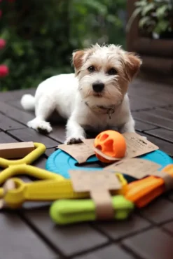 Fiboo kelluva lelu, 15 cm, sininen