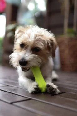 Fiboo kelluva lelu, 15 cm, vihreä