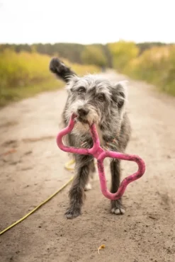 Fiboo kelluva vetolelu, oranssi