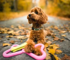 Fiboo kelluva vetolelu, vihreä