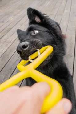 Fiboo kelluva vetolelu, vihreä