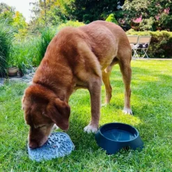 Fiboo koirankuppi, 700ml, harmaa