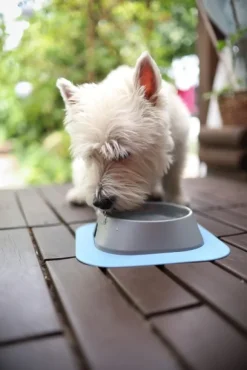 Fiboo koirankuppi, 200ml, harmaa