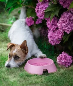 Fiboo koirankuppi, 700ml, vaaleanpunainen