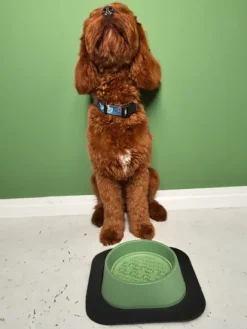 Fiboo koirankuppi, 400ml, vihreä