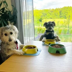 Fiboo koirankuppi, 200ml, vihreä