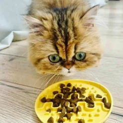 Fiboo Lollipop Mini ruokamatto, 13 cm, beige