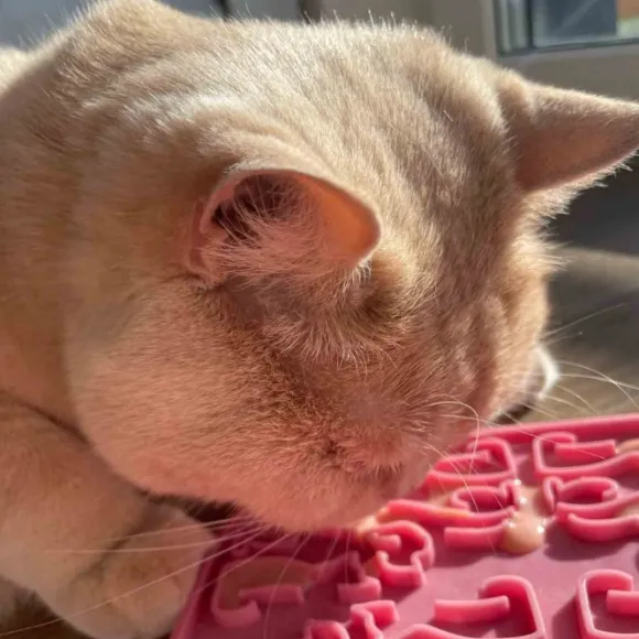 Fiboo Lollipop ruokamatto, 19 cm, roosa