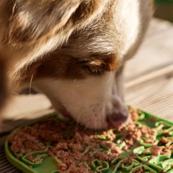 Fiboo Lollipop ruokamatto, 19 cm, roosa