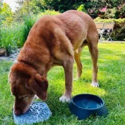 Fiboo Lollipop ruokamatto, 19 cm, beige