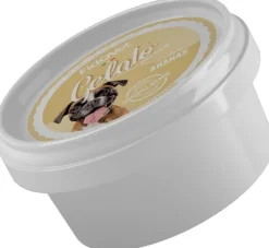 Fidovet koirien jäätelö Gelato Ananas 40g