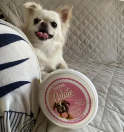 Fidovet koirien jäätelö Gelato vanilja 40g