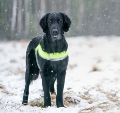 FinNero ATTE huomioliivi, M, neonkeltainen