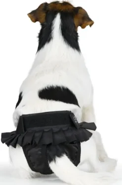 FinNero BALLERINA narttujen juoksuhousut, XL, musta