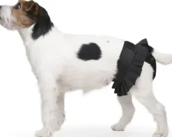 FinNero BALLERINA narttujen juoksuhousut, L, musta