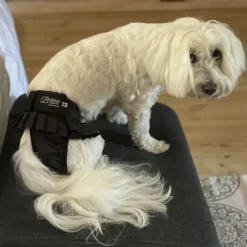 FinNero BALLERINA narttujen juoksuhousut, L, musta