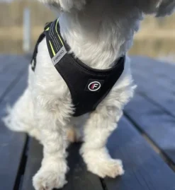 FinNero HALI liivivaljaat, XS, musta/keltainen