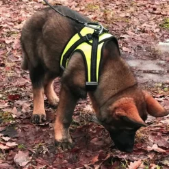 FinNero HALI liivivaljaat, XS, musta/keltainen