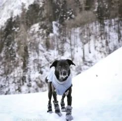 FinNero Hundsko HALLA koiran tossut, XL, 4-pack, Reflex Grå