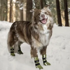 FinNero Hundsko HALLA koiran tossut, XL, 4-pack, Reflex Grön