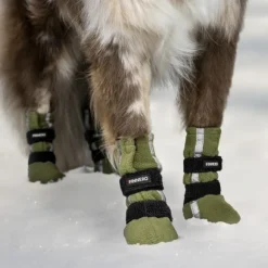 FinNero Hundsko HALLA koiran tossut, XXS-S, 4-pack, Reflex Grön