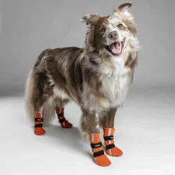 FinNero Hundsko HALLA koiran tossut, XXS-S, 4-pack, Reflex Orange