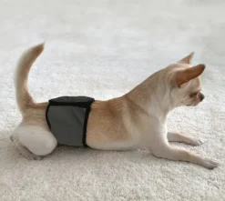 FinNero JustinCase urossuoja, M, musta