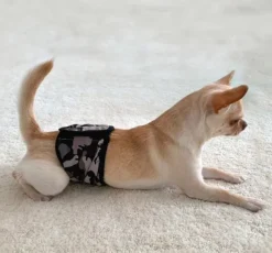 FinNero JustinCase urossuoja, L, camo