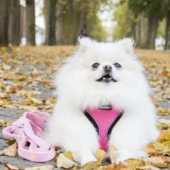 FinNero LIGHT Reflective Harness Pink M