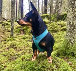 FinNero LIGHT Reflective Harness Pink M