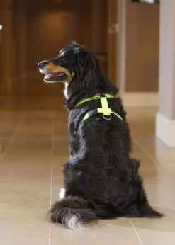 FinNero SALO valjaat, L, neonkeltainen